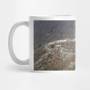 850_0573 Mug